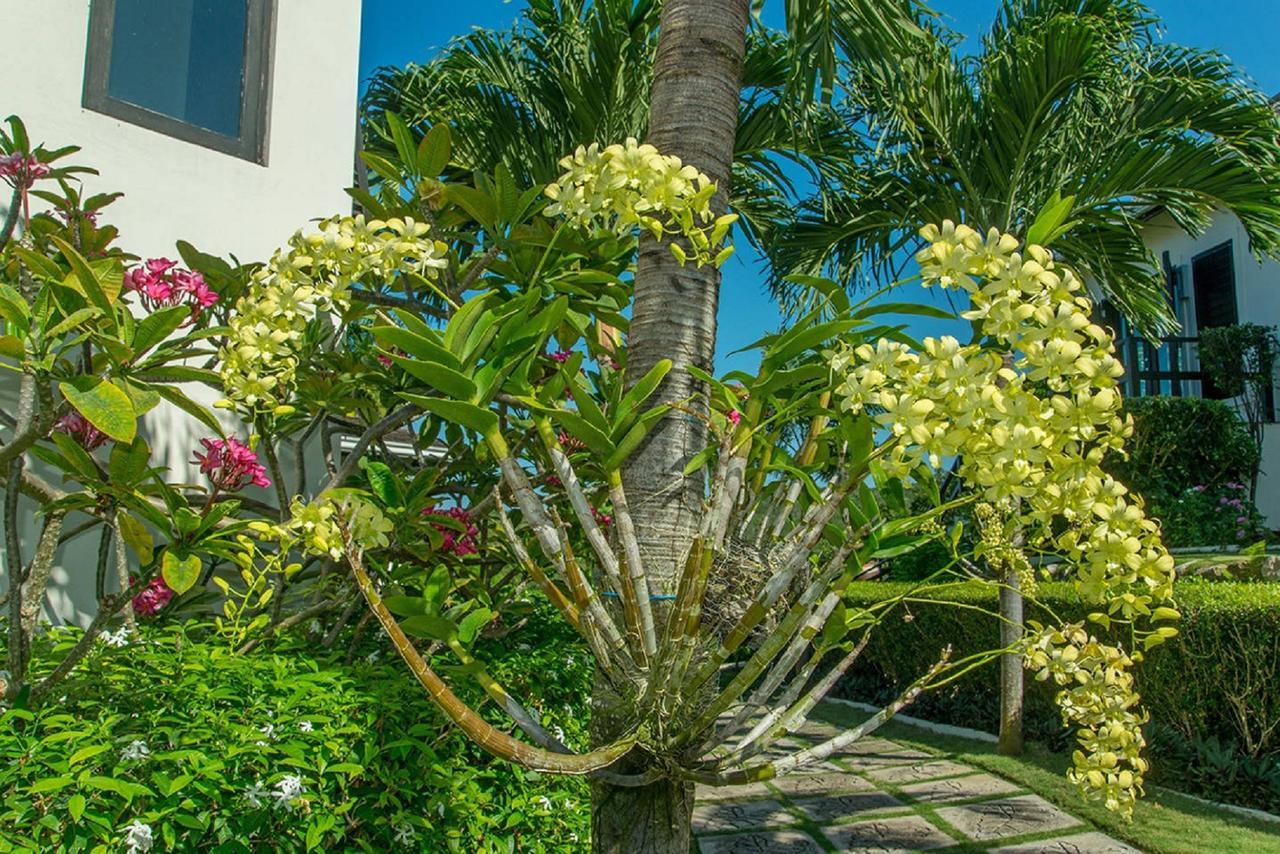 Luxury Villa Sleeps 6, Beach Access, 蒙特哥贝 外观 照片
